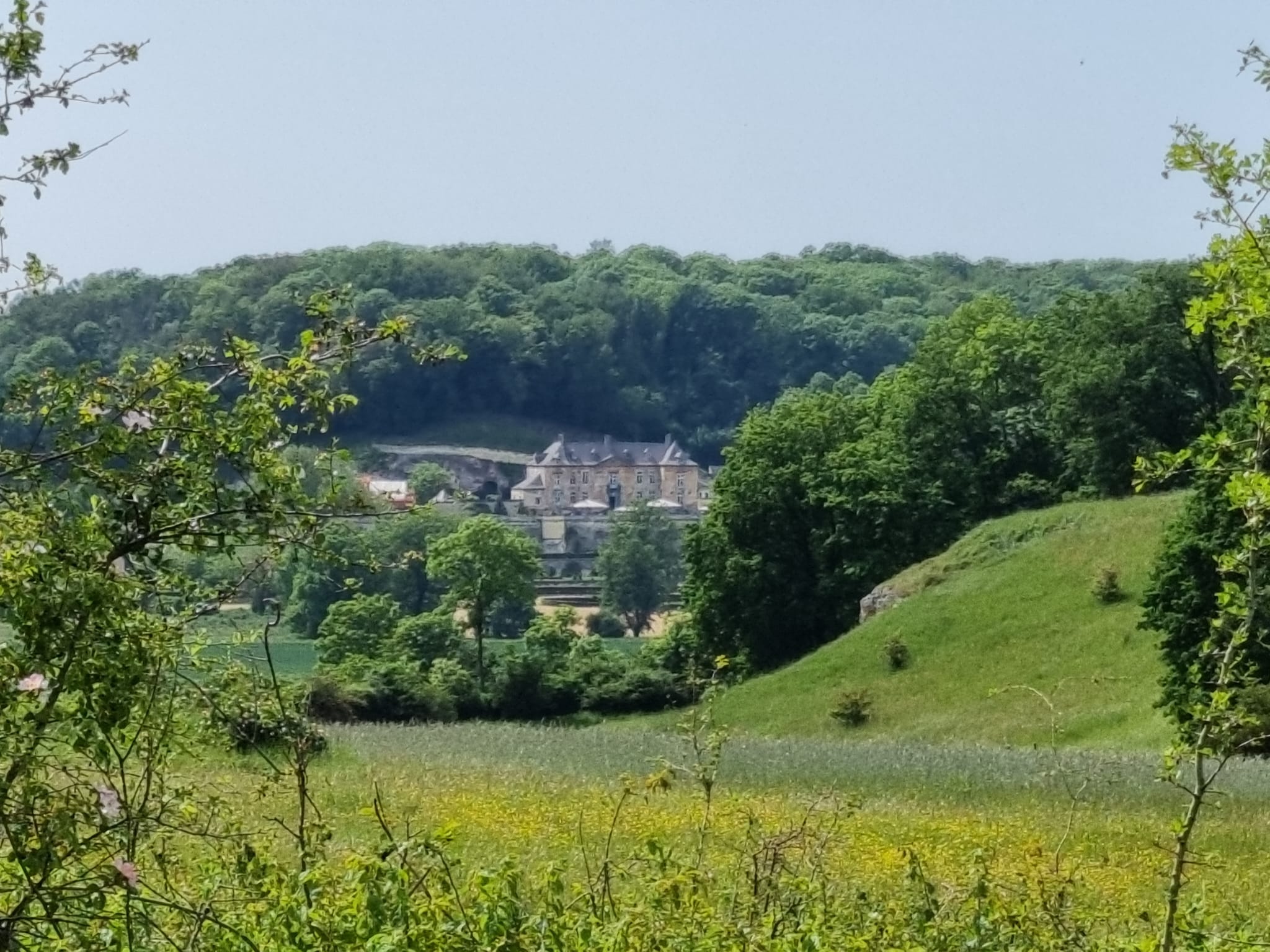 Achtergrond afbeelding  Puur Zuid Limburg