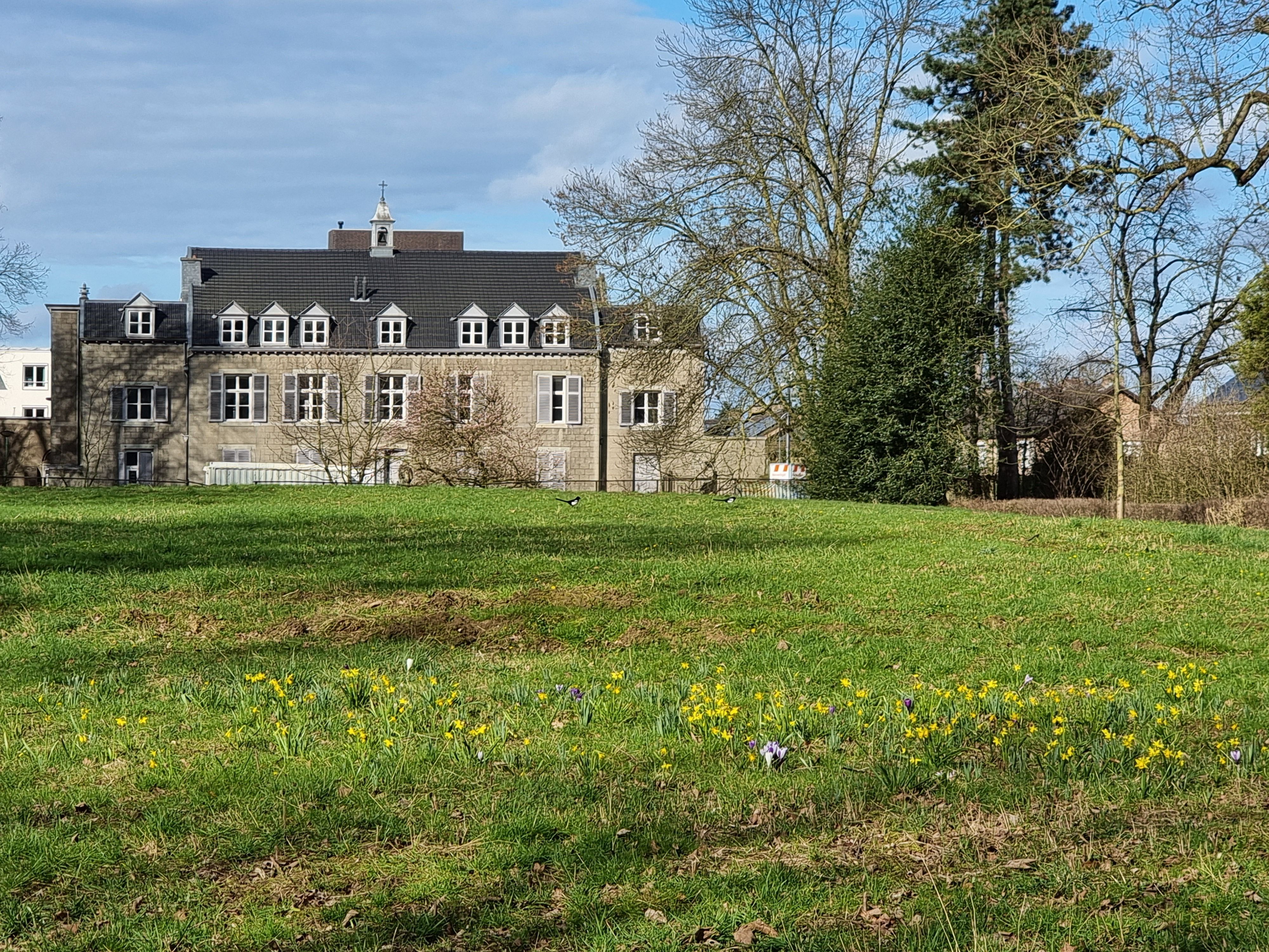 Achtergrond afbeelding  Puur Zuid Limburg