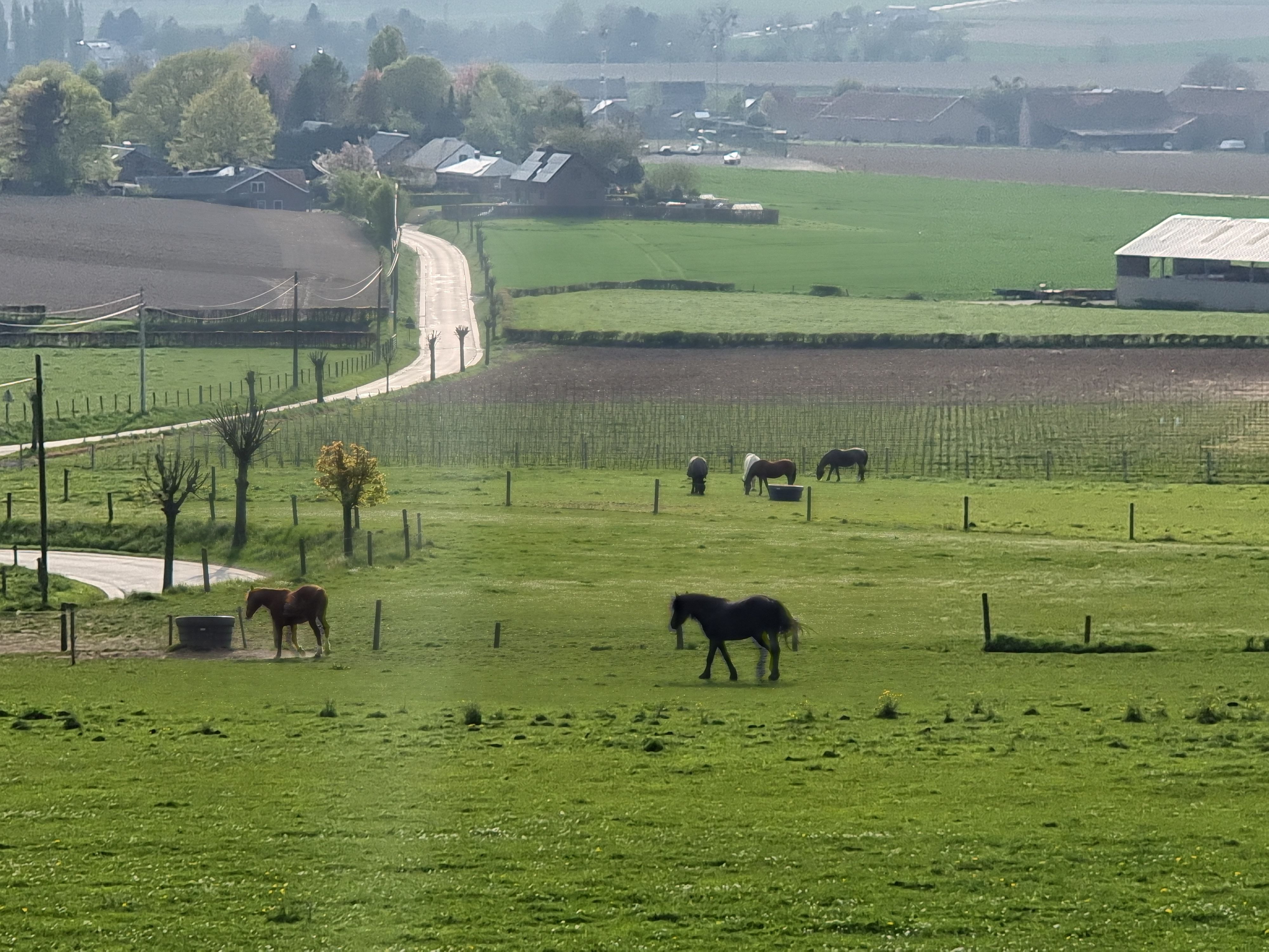 Foto 2 - Toeren door het achterland van Maastricht